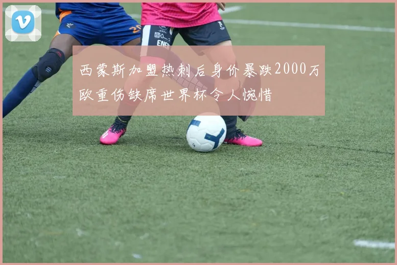 西蒙斯加盟热刺后身价暴跌2000万欧重伤缺席世界杯令人惋惜